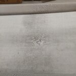 Krēmkrāsas paklājs (floks) 300x400