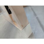 Sienas glezna tuksneša atbalss (agave) 120x150