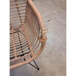 Pruun-Must Punutud Aiatool (Costa)