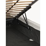 Light Grey Upholstered Bed (Dream) 160x200