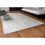 Light gray carpet Baobab (Louis de Poortere)170x240