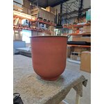 2 gėlių vazonų rinkinys su vig (namų gydytojo) grožio vazonu