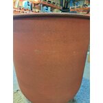 2 gėlių vazonų rinkinys su vig (namų gydytojo) grožio vazonu