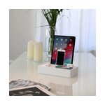Зарядная станция (alldock) с косметическим дефектом