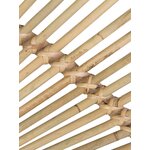 Rotangist Voodipeats Irregular (Moycor)