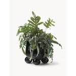 Lillepott Olea (W.W)