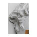 Seinadekoratsioon apollo (kare design) iluveaga