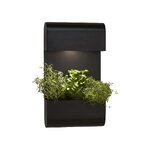 Välisseinalamp planta (pr home)