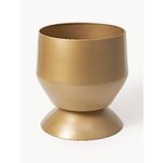 Lillepott renya (w.w)