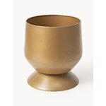 Lillepott renya (w.w)