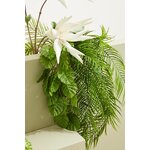 Kunsttaim valge aloe (chinensis)