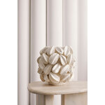 White Vase (Carambola)