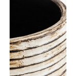 Vase (aleksy)
