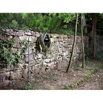 Garden hose (performance plus)