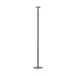 Floor lamp (boro)