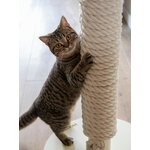 Cat tree (totem)