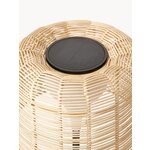 Lampa (kyra) ar kosmētisku defektu