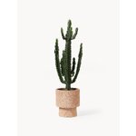 Flowerpot (Patmos)