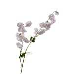 Kunstoks Lathyrus Real Touch (Silk Ka)
