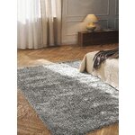 Light gray fluffy carpet (leighton)300x400