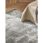 Light gray fluffy carpet (leighton)300x400