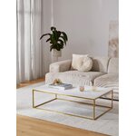 Marble coffee table (alys)