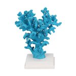 Decoration hester (vachetti) broken