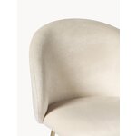 Bāra krēsls Luisa (ww)