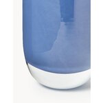 Vaas Rosabella (W.W)