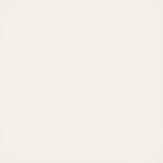 Vannas istabas paklājs (Brady) 60x90