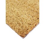 Doormat Leopard (Artsy Doormats)