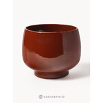 Gėlių vazonas (gydymas)