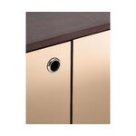 Dizainerio masyvo medžio spintelė (Scarlett)