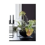 Dekoratyvinis dubenėlio kubas (lassen)