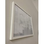 Baltas sieninis paveikslas (paveikslas) su grožio trūkumu
