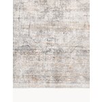 Light Grey Vintage Style Carpet (Alisha) 200x300