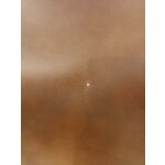 Atzveltnes krēsls (dion)