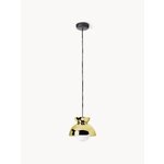 Ripplamp Butterfly (Frandsen)