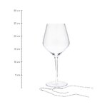 Käsitsi Puhutud Punase Veini Klaasid 4tk (Ays) 700ml