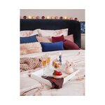 Heleroosa Karvane Dekoratiiv Padjapüür (Mathilde) 40x40