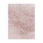 Heleroosa Karvane Dekoratiiv Padjapüür (Mathilde) 40x40