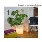 Lillealus LED Valgustusega Elegant Mint (8 Seasons)