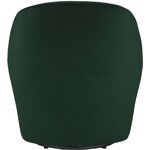 Žalio aksomo dizaino fotelis (skaidrė)