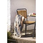 Pleed (Camel)