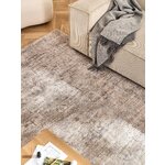 Light Grey Vintage Style Carpet (Alisha) 200x300
