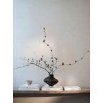 Vase Canyon (Hein Studio)