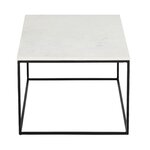 Marble coffee table (alys)