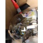 Kultainen kattovalaisin (amora)