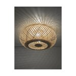 Bamboo ceiling light (evalyn)