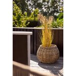Rattan Baskets Melaka 2pcs (House Nordic)
